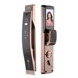 Lanka Smart Switch | Smart Wifi Door Lock Q-10